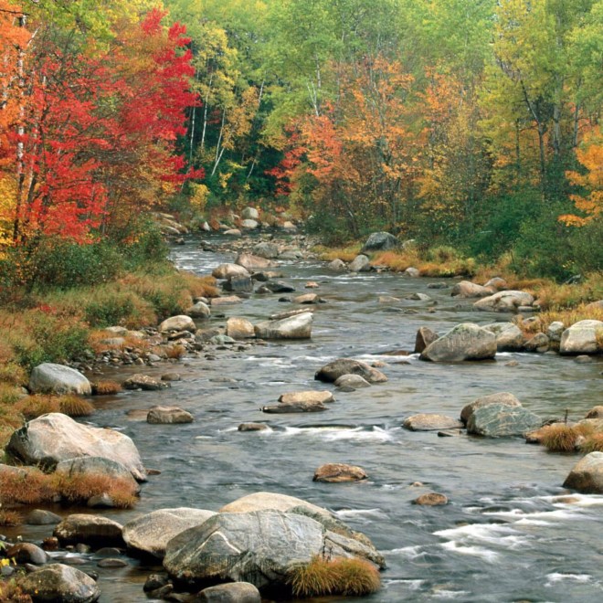 AFD6375F-7A92-48C5-B8CB-B2638B2E7102